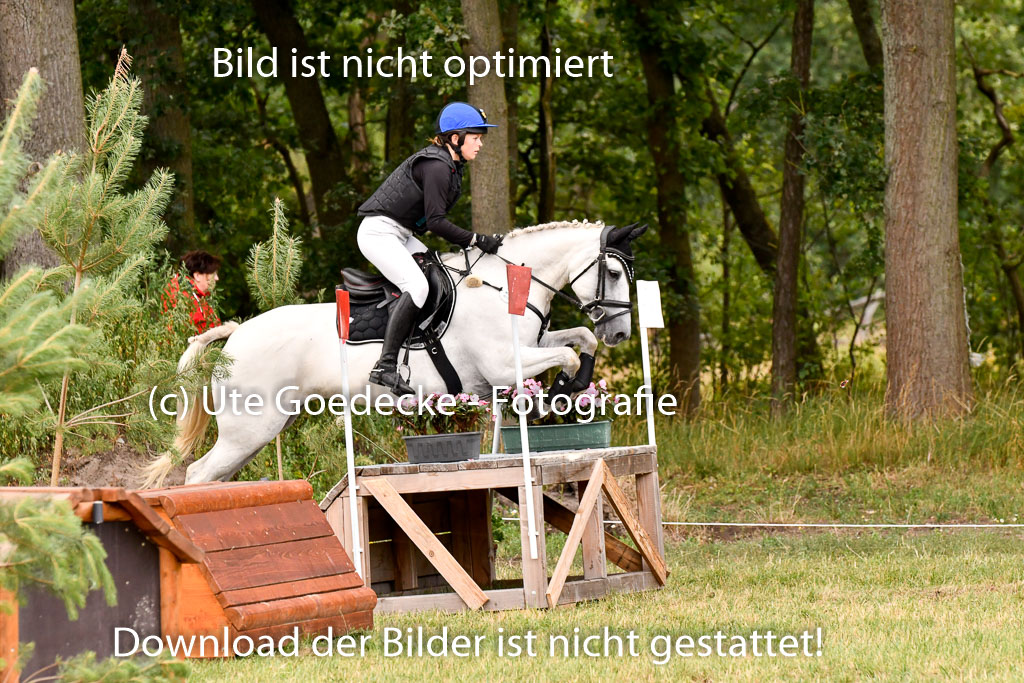 Goldene Schärpe Ponys in Hohenberg Krusemark 2024 | 13072024 Gelände 1 Abt_825 