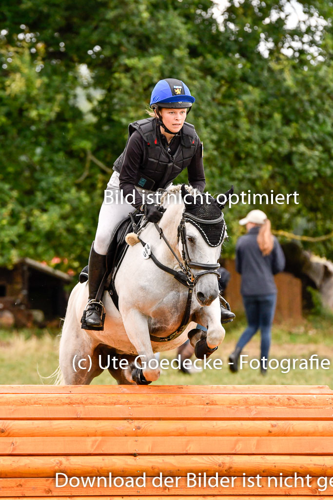 Goldene Schärpe Ponys in Hohenberg Krusemark 2024 | 13072024 Gelände 1 Abt_826 