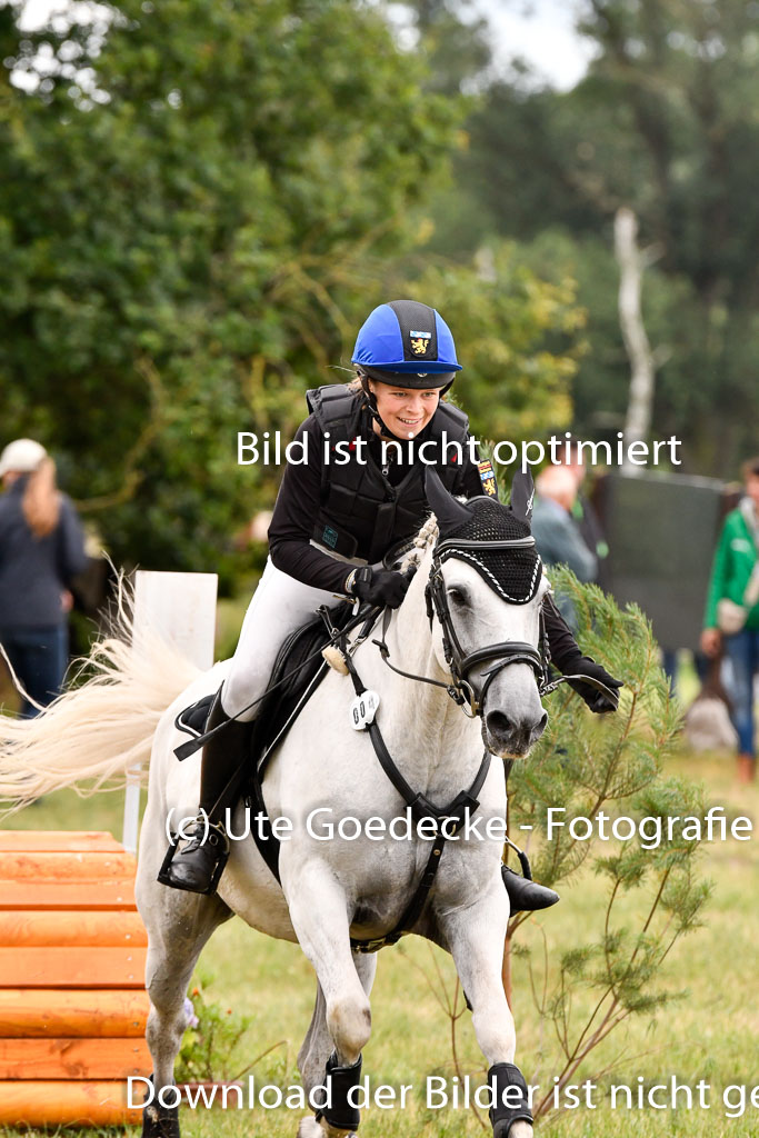 Goldene Schärpe Ponys in Hohenberg Krusemark 2024 | 13072024 Gelände 1 Abt_828 