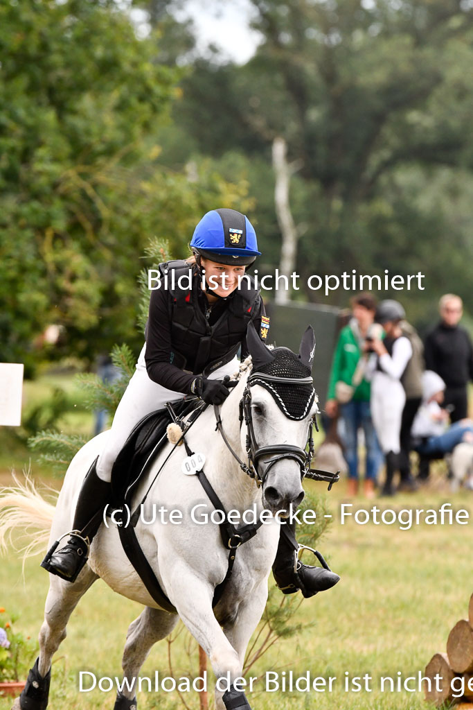 Goldene Schärpe Ponys in Hohenberg Krusemark 2024 | 13072024 Gelände 1 Abt_829