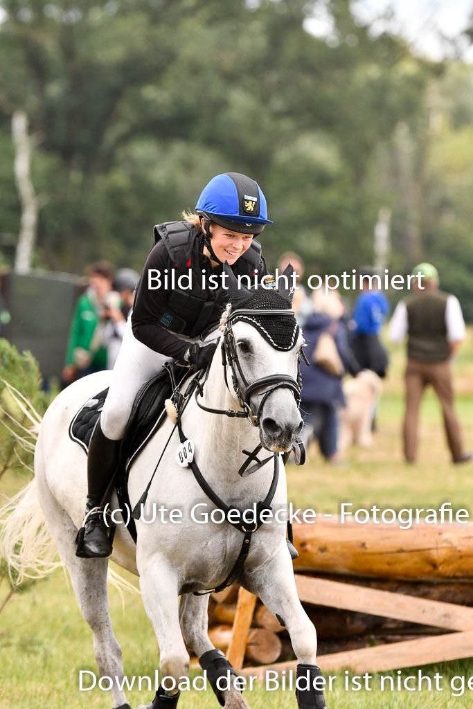 Goldene Schärpe Ponys in Hohenberg Krusemark 2024 | 13072024 Gelände 1 Abt_831 