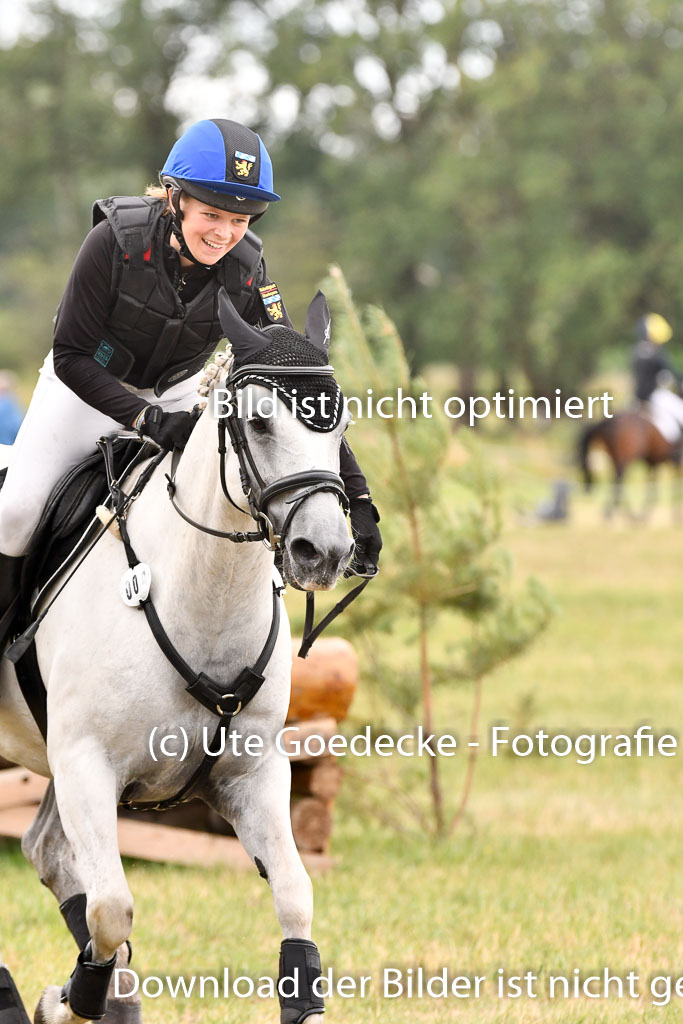 Goldene Schärpe Ponys in Hohenberg Krusemark 2024 | 13072024 Gelände 1 Abt_834 