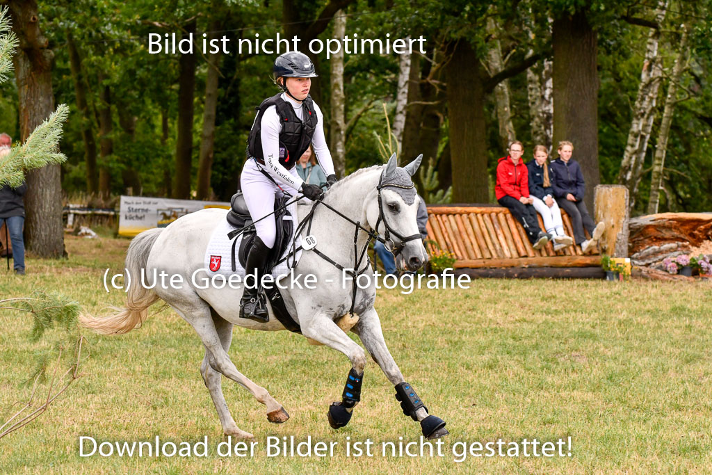 Goldene Schärpe Ponys in Hohenberg Krusemark 2024 | 13072024 Gelände 1 Abt_837 