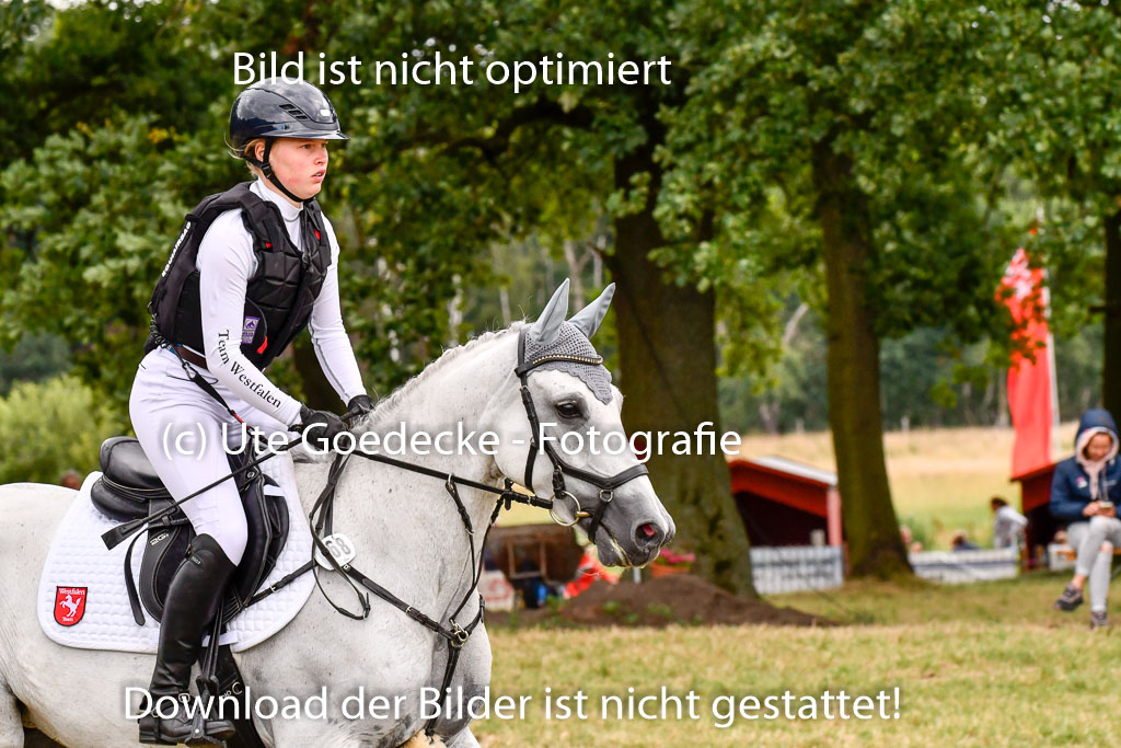 Goldene Schärpe Ponys in Hohenberg Krusemark 2024 | 13072024 Gelände 1 Abt_838 