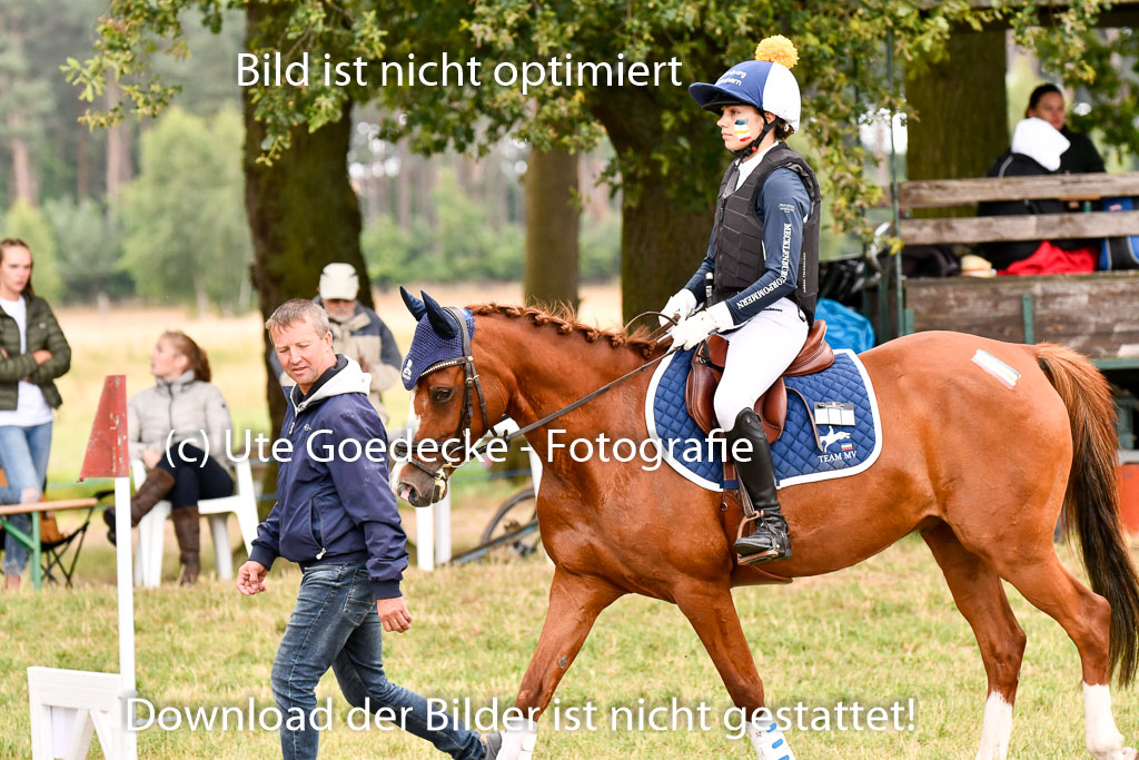 Goldene Schärpe Ponys in Hohenberg Krusemark 2024 | 13072024 Gelände 1 Abt_840 