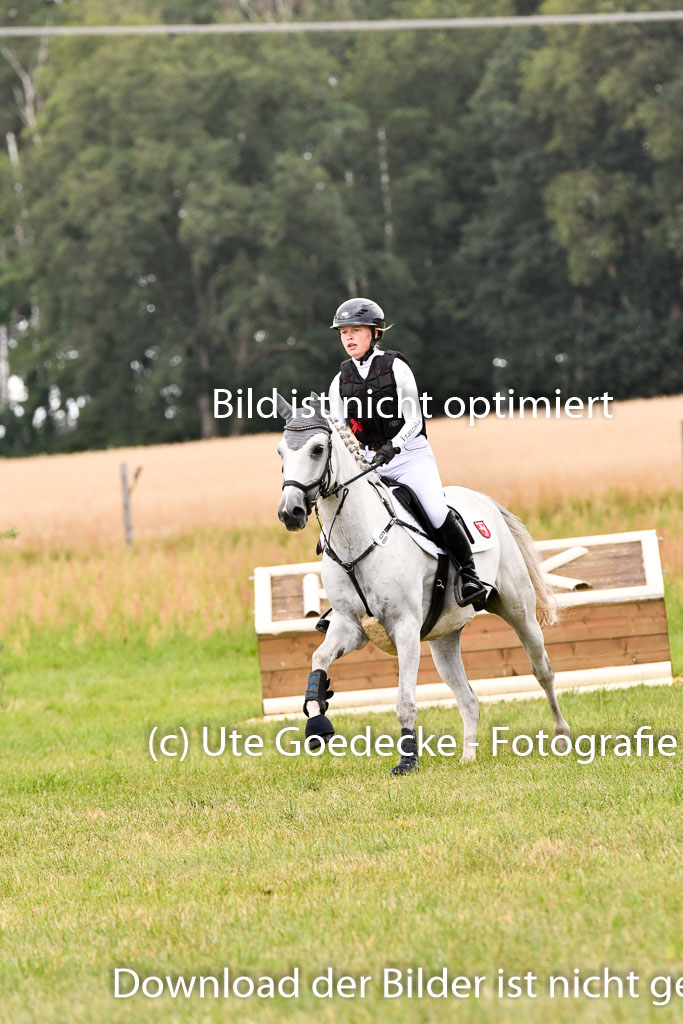 Goldene Schärpe Ponys in Hohenberg Krusemark 2024 | 13072024 Gelände 1 Abt_841 