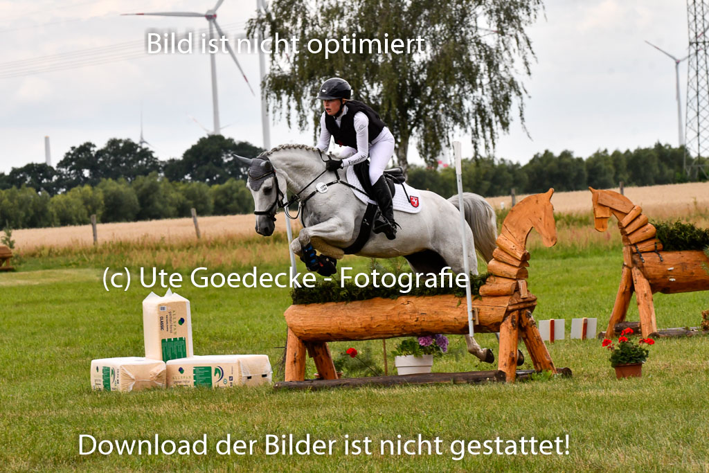 Goldene Schärpe Ponys in Hohenberg Krusemark 2024 | 13072024 Gelände 1 Abt_842 