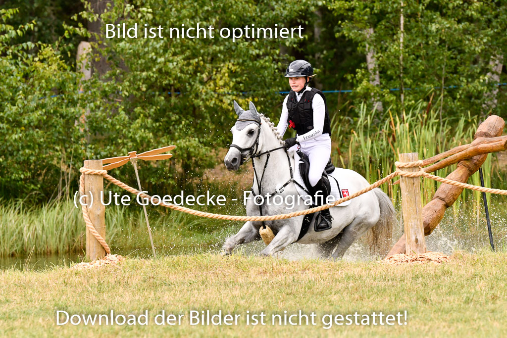 Goldene Schärpe Ponys in Hohenberg Krusemark 2024 | 13072024 Gelände 1 Abt_843 