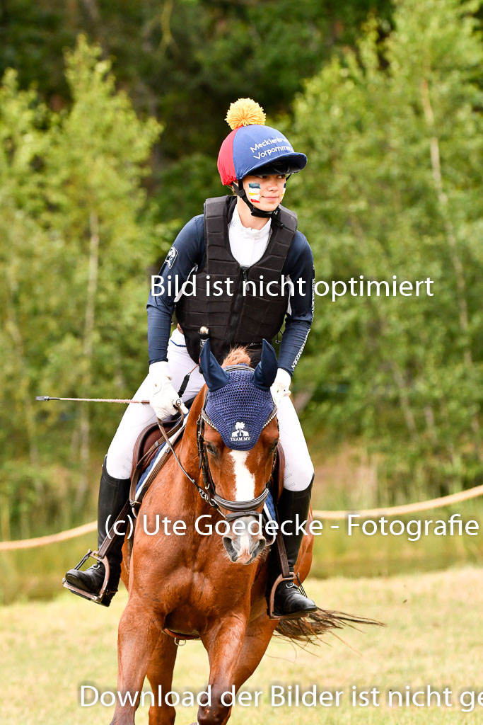 Goldene Schärpe Ponys in Hohenberg Krusemark 2024 | 13072024 Gelände 1 Abt_845 