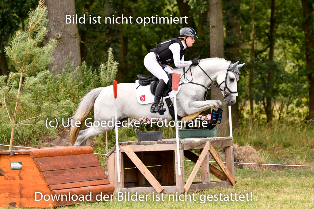 Goldene Schärpe Ponys in Hohenberg Krusemark 2024 | 13072024 Gelände 1 Abt_846 