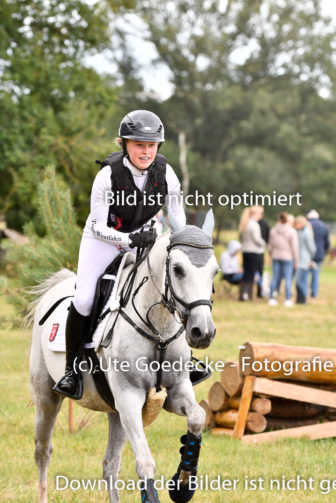 Goldene Schärpe Ponys in Hohenberg Krusemark 2024 | 13072024 Gelände 1 Abt_850 