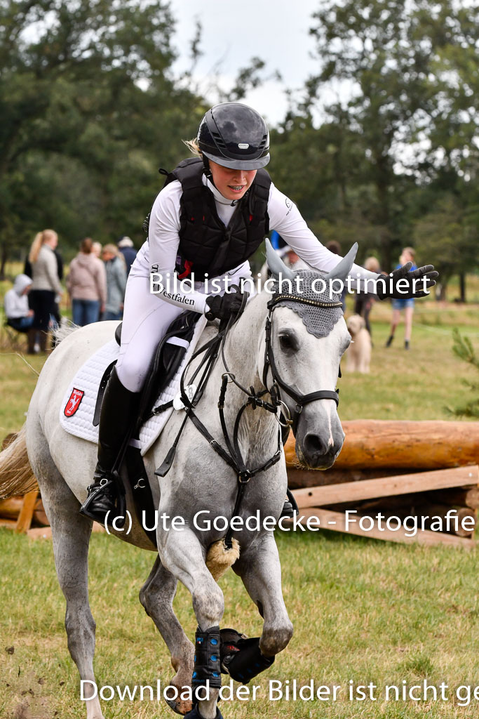 Goldene Schärpe Ponys in Hohenberg Krusemark 2024 | 13072024 Gelände 1 Abt_852 