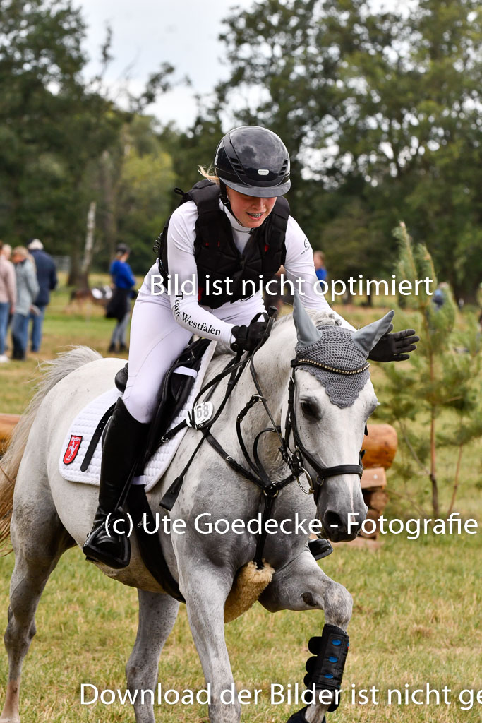 Goldene Schärpe Ponys in Hohenberg Krusemark 2024 | 13072024 Gelände 1 Abt_853 