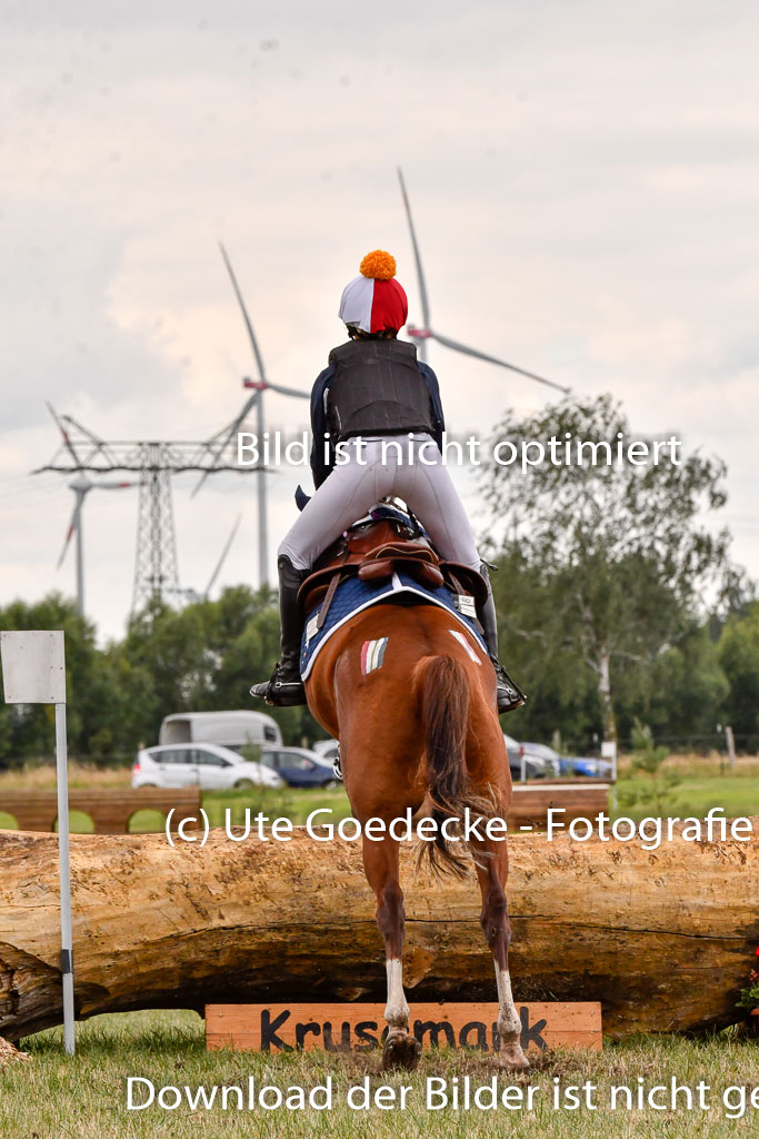 Goldene Schärpe Ponys in Hohenberg Krusemark 2024 | 13072024 Gelände 1 Abt_856 