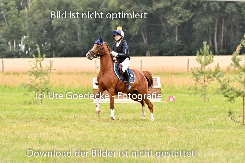 Goldene Schärpe Ponys in Hohenberg Krusemark 2024 | 13072024 Gelände 1 Abt_857