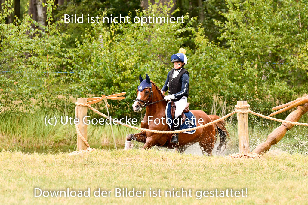 Goldene Schärpe Ponys in Hohenberg Krusemark 2024 | 13072024 Gelände 1 Abt_859 