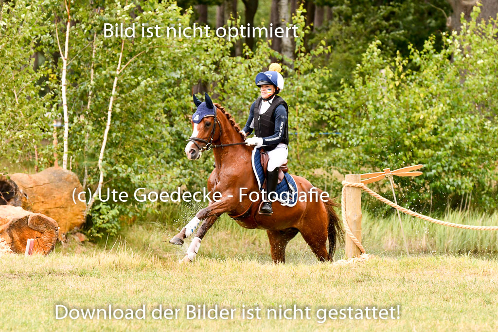 Goldene Schärpe Ponys in Hohenberg Krusemark 2024 | 13072024 Gelände 1 Abt_860 