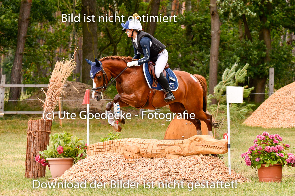 Goldene Schärpe Ponys in Hohenberg Krusemark 2024 | 13072024 Gelände 1 Abt_862 