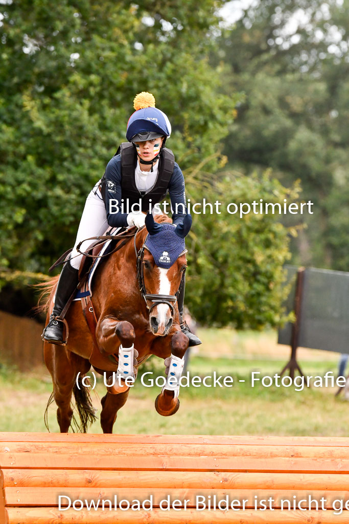 Goldene Schärpe Ponys in Hohenberg Krusemark 2024 | 13072024 Gelände 1 Abt_865 