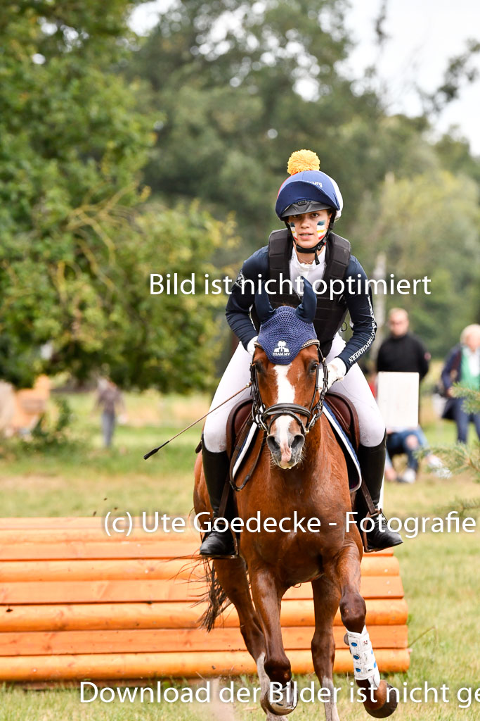 Goldene Schärpe Ponys in Hohenberg Krusemark 2024 | 13072024 Gelände 1 Abt_867 