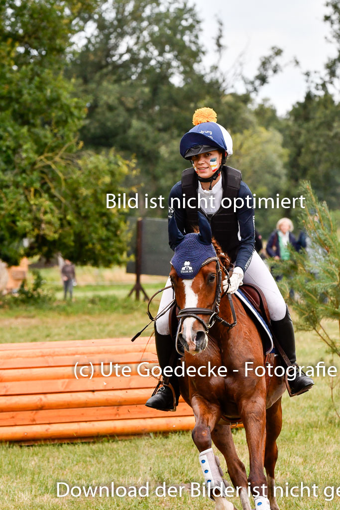 Goldene Schärpe Ponys in Hohenberg Krusemark 2024 | 13072024 Gelände 1 Abt_868 