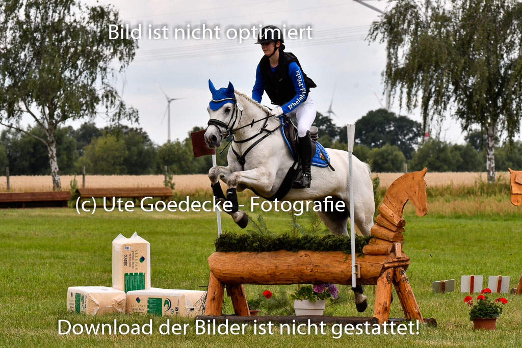 Goldene Schärpe Ponys in Hohenberg Krusemark 2024 | 13072024 Gelände 1 Abt_874 