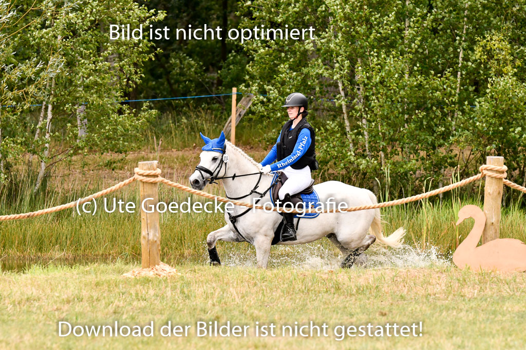 Goldene Schärpe Ponys in Hohenberg Krusemark 2024 | 13072024 Gelände 1 Abt_875 