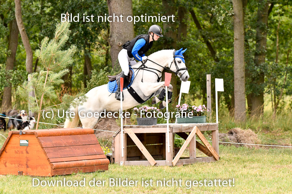 Goldene Schärpe Ponys in Hohenberg Krusemark 2024 | 13072024 Gelände 1 Abt_877 