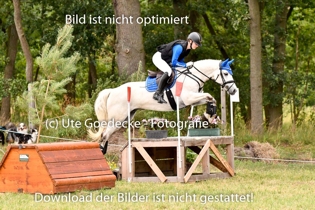 Goldene Schärpe Ponys in Hohenberg Krusemark 2024 | 13072024 Gelände 1 Abt_878