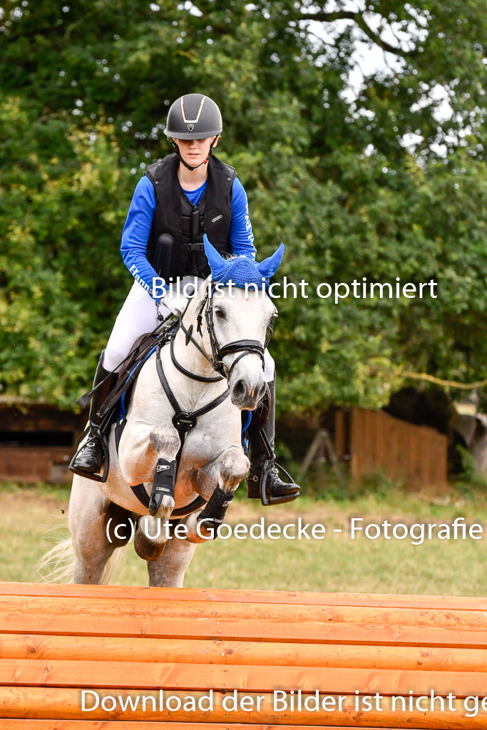 Goldene Schärpe Ponys in Hohenberg Krusemark 2024 | 13072024 Gelände 1 Abt_879 