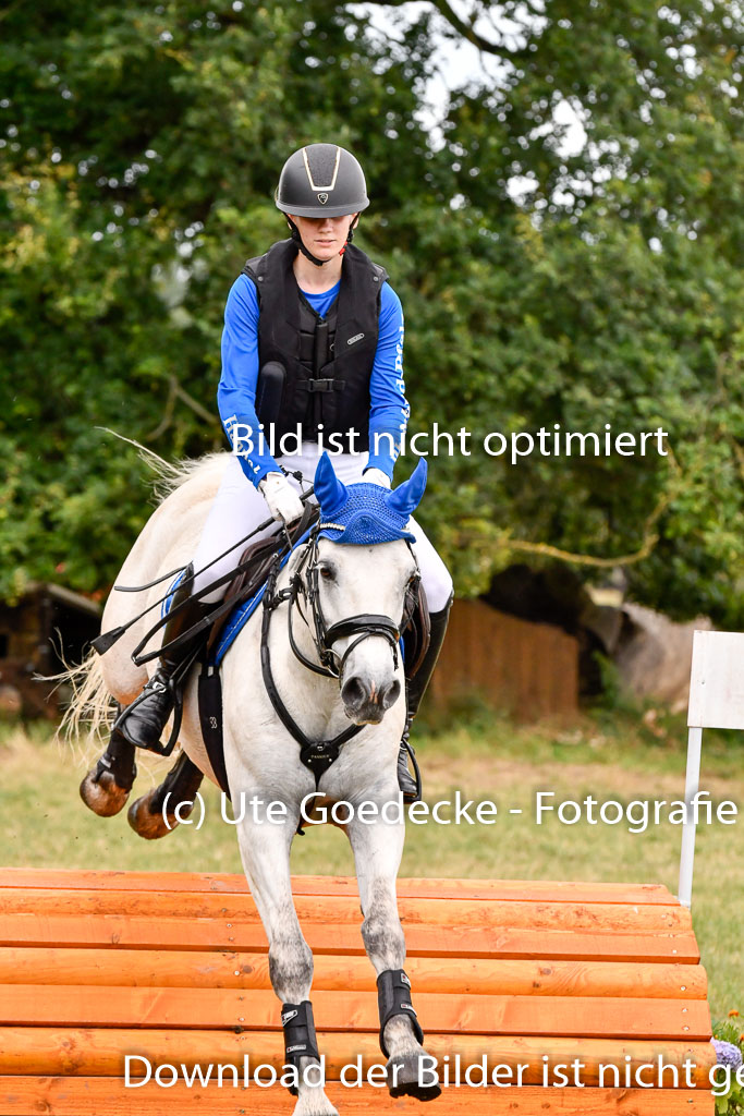 Goldene Schärpe Ponys in Hohenberg Krusemark 2024 | 13072024 Gelände 1 Abt_880 