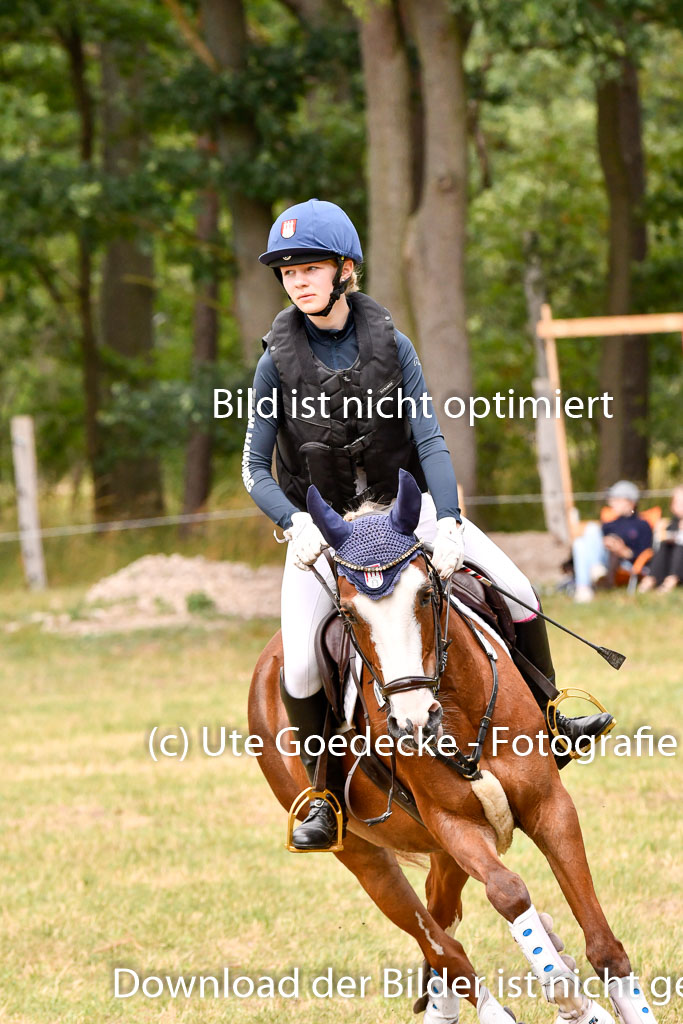 Goldene Schärpe Ponys in Hohenberg Krusemark 2024 | 13072024 Gelände 1 Abt_882