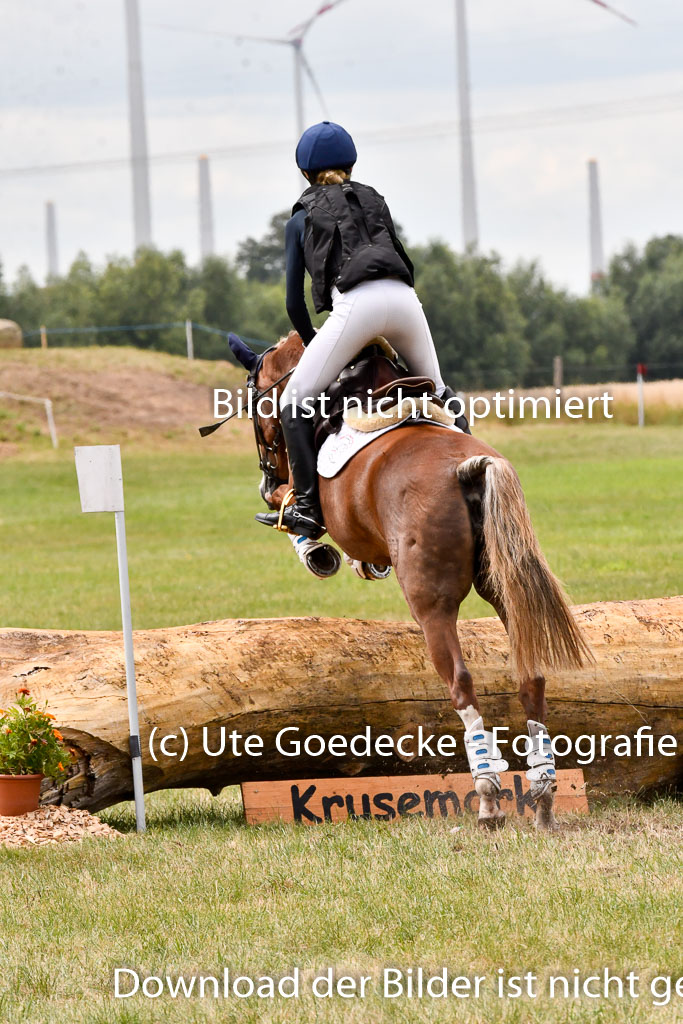 Goldene Schärpe Ponys in Hohenberg Krusemark 2024 | 13072024 Gelände 1 Abt_883 