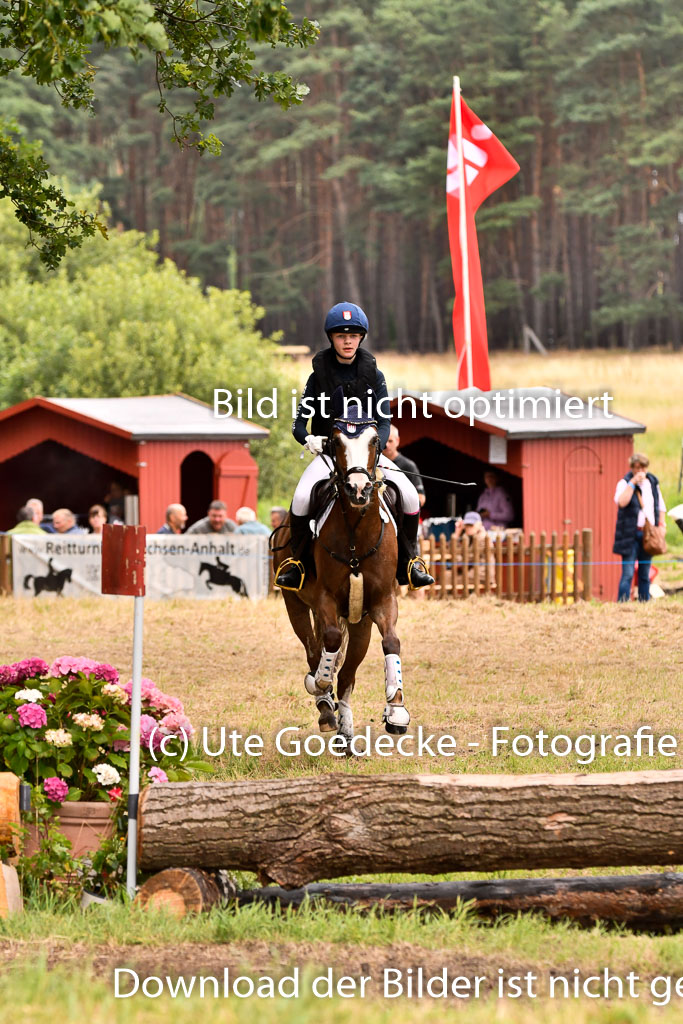 Goldene Schärpe Ponys in Hohenberg Krusemark 2024 | 13072024 Gelände 1 Abt_884 