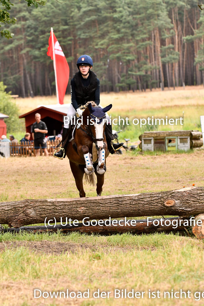 Goldene Schärpe Ponys in Hohenberg Krusemark 2024 | 13072024 Gelände 1 Abt_885 