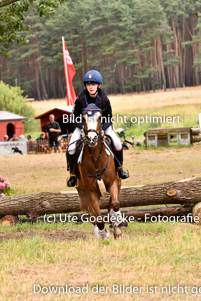 Goldene Schärpe Ponys in Hohenberg Krusemark 2024 | 13072024 Gelände 1 Abt_887 