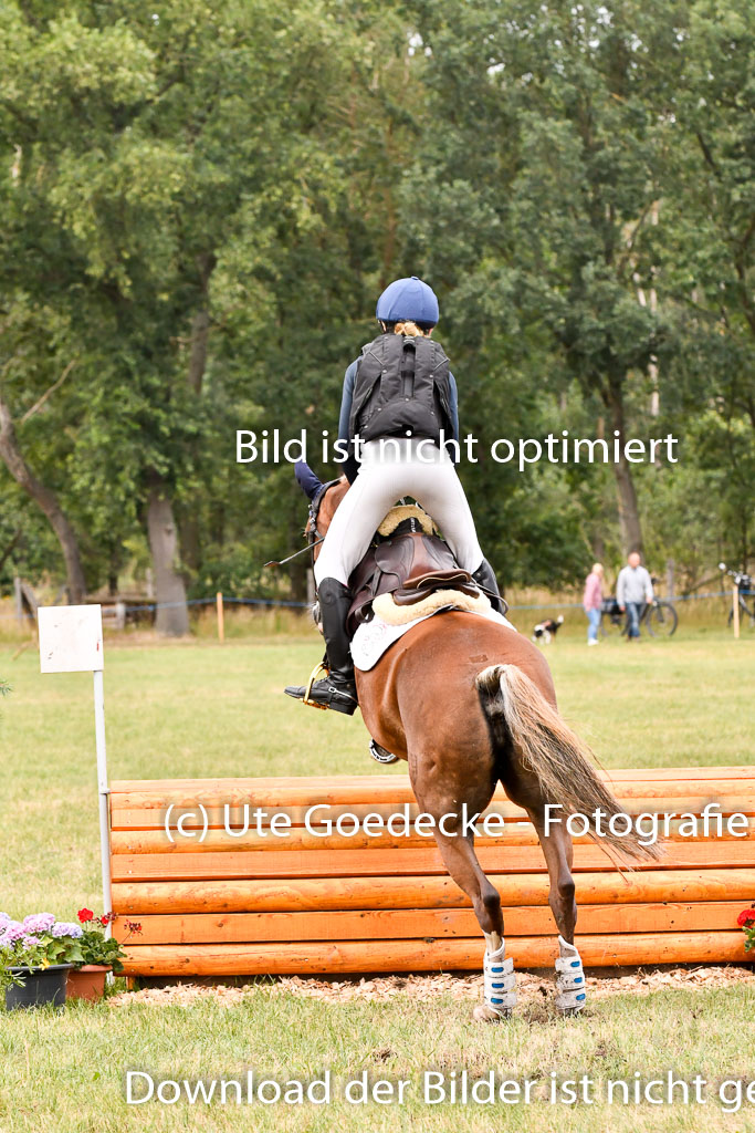 Goldene Schärpe Ponys in Hohenberg Krusemark 2024 | 13072024 Gelände 1 Abt_888 