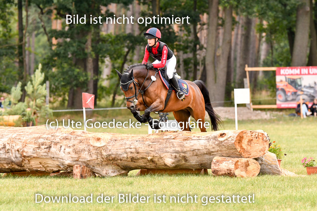 Goldene Schärpe Ponys in Hohenberg Krusemark 2024 | 13072024 Gelände 1 Abt_889 