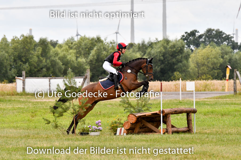 Goldene Schärpe Ponys in Hohenberg Krusemark 2024 | 13072024 Gelände 1 Abt_891 