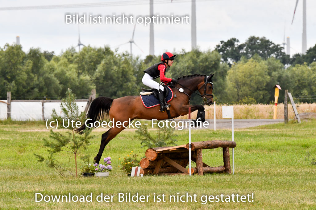 Goldene Schärpe Ponys in Hohenberg Krusemark 2024 | 13072024 Gelände 1 Abt_892 