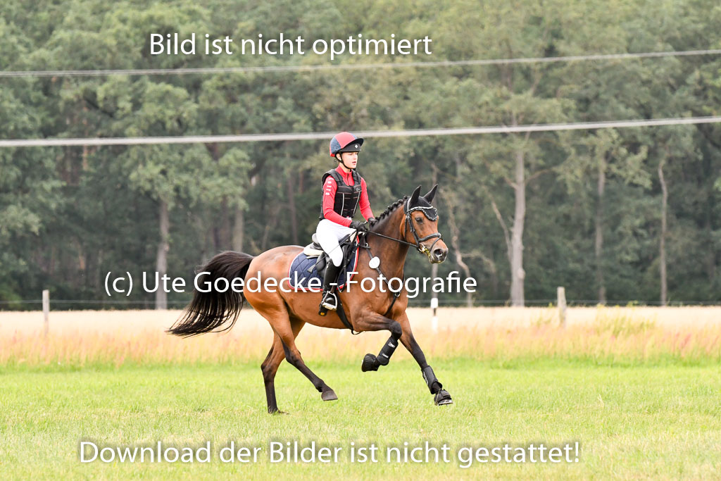 Goldene Schärpe Ponys in Hohenberg Krusemark 2024 | 13072024 Gelände 1 Abt_893
