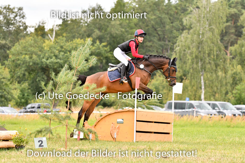 Goldene Schärpe Ponys in Hohenberg Krusemark 2024 | 13072024 Gelände 1 Abt_894 