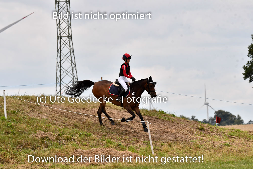 Goldene Schärpe Ponys in Hohenberg Krusemark 2024 | 13072024 Gelände 1 Abt_895 