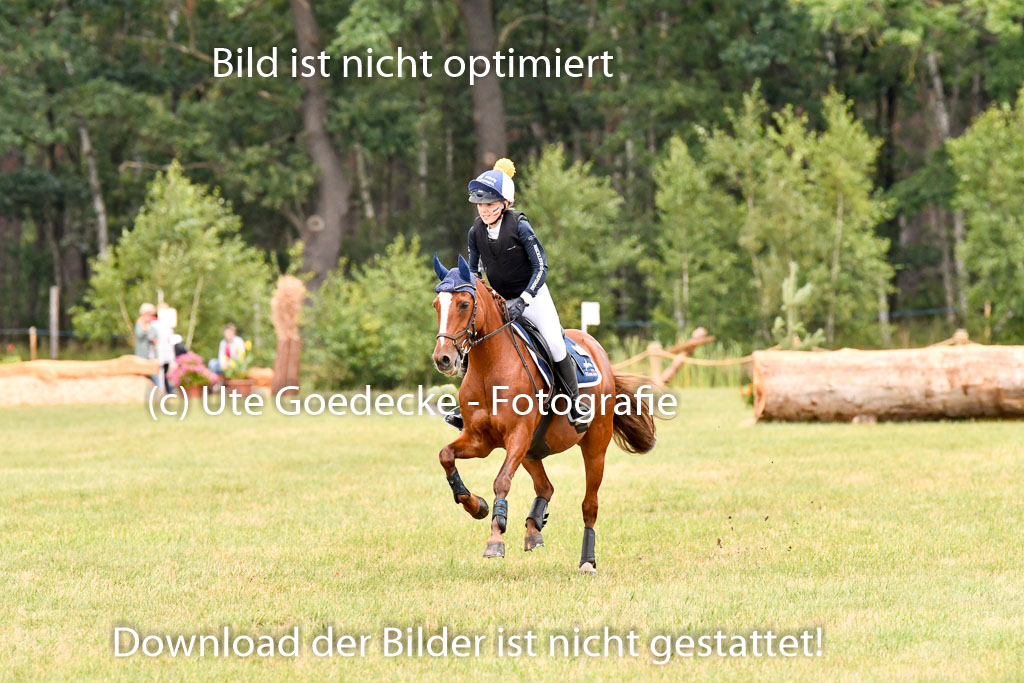 Goldene Schärpe Ponys in Hohenberg Krusemark 2024 | 13072024 Gelände 1 Abt_897 