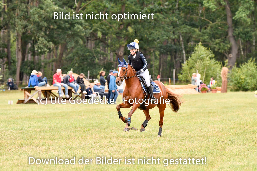 Goldene Schärpe Ponys in Hohenberg Krusemark 2024 | 13072024 Gelände 1 Abt_898