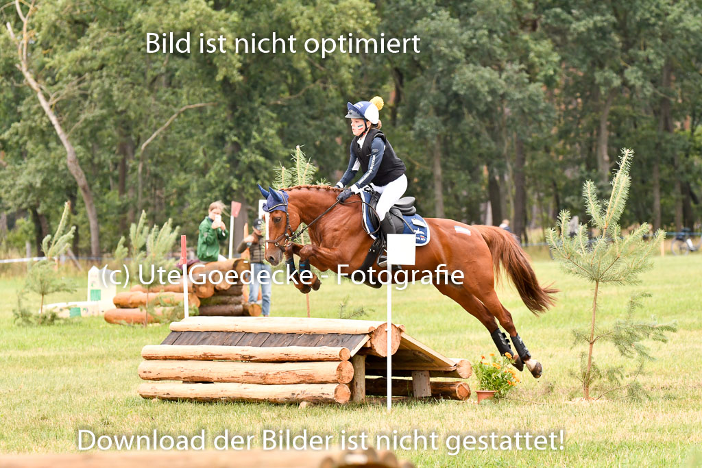 Goldene Schärpe Ponys in Hohenberg Krusemark 2024 | 13072024 Gelände 1 Abt_899 