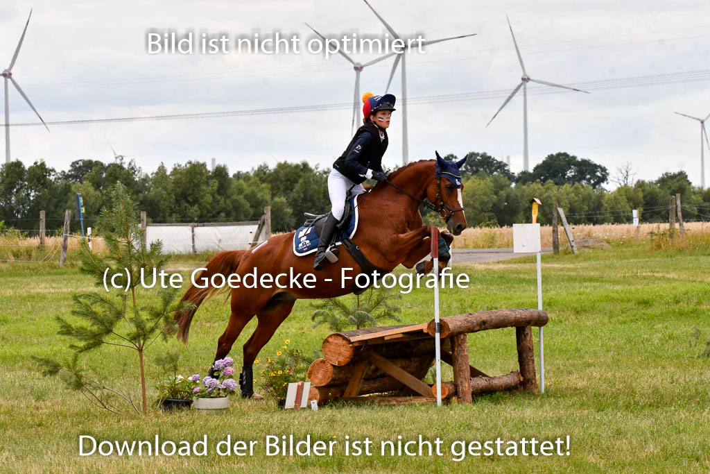 Goldene Schärpe Ponys in Hohenberg Krusemark 2024 | 13072024 Gelände 1 Abt_901