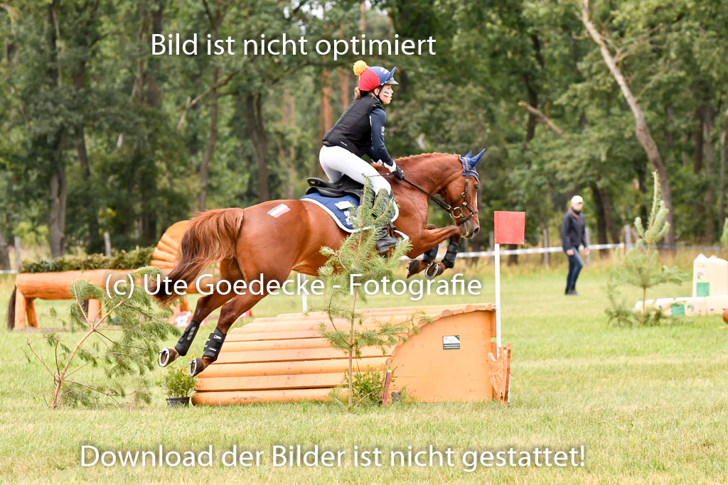 Goldene Schärpe Ponys in Hohenberg Krusemark 2024 | 13072024 Gelände 1 Abt_905