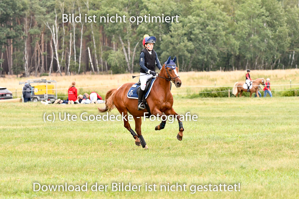 Goldene Schärpe Ponys in Hohenberg Krusemark 2024 | 13072024 Gelände 1 Abt_906 