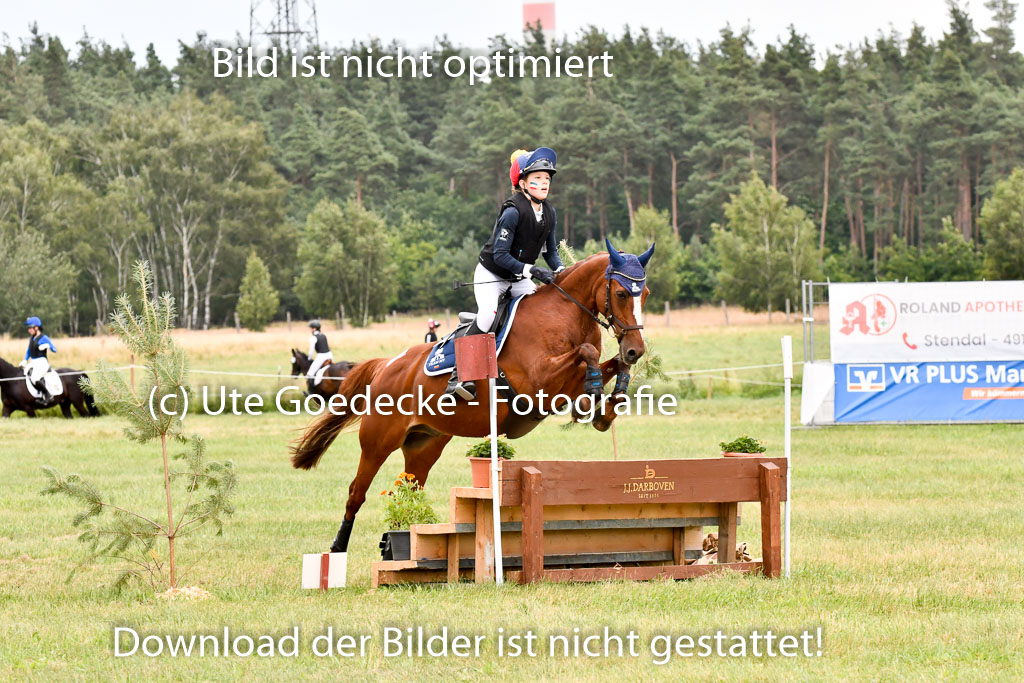 Goldene Schärpe Ponys in Hohenberg Krusemark 2024 | 13072024 Gelände 1 Abt_907